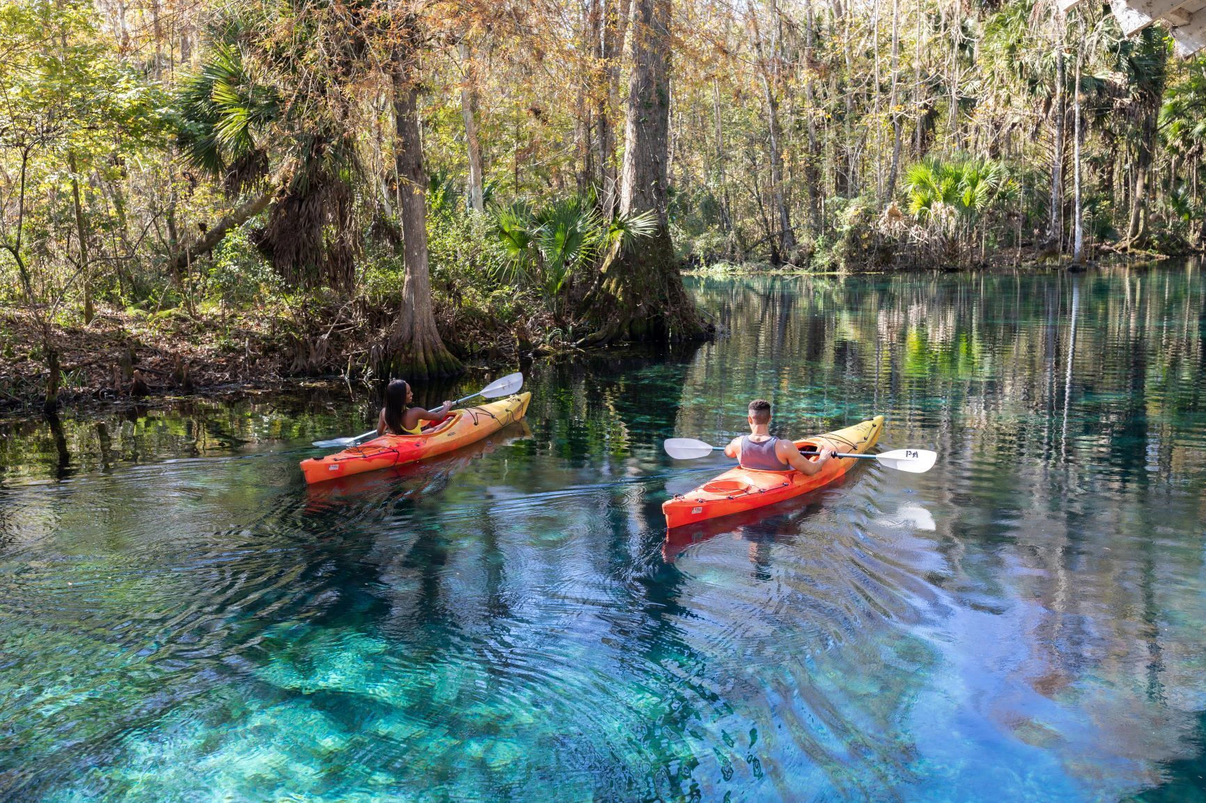Guide to Silver Springs State Park | Ocala / Marion County Florida